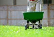 Person pushing lawn fertilizer spreader